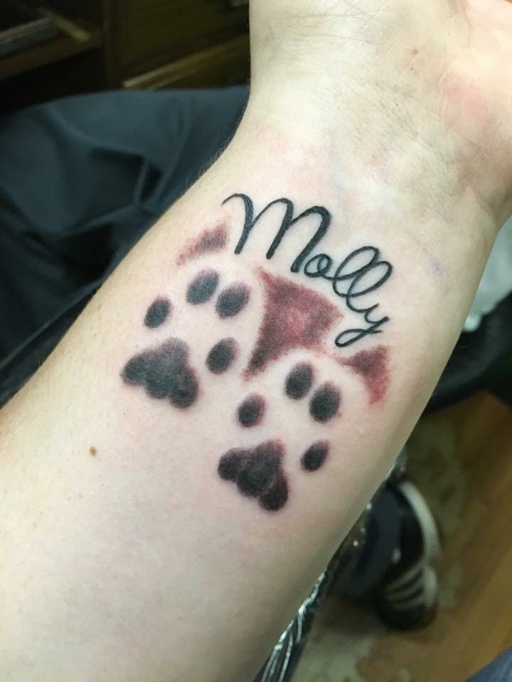 The name Molly in script with paw prints beneath it, black and gray, on a forearm
